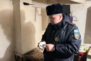 Недооценивают риски — ДЧС про отказы от датчиков дыма в частных домах