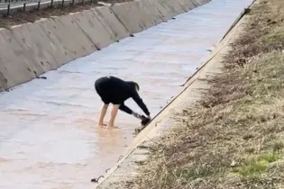 Казахстанец стал героем TikTok после спасения щенка