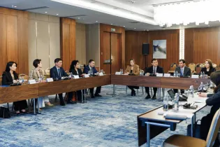 Новая политическая партия появится в Казахстане перед выборами в Курултай