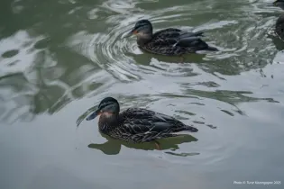 Циклон из Москвы накроет Казахстан