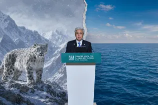 Новый мировой порядок по-казахстански: как в Астане решают судьбу всего региона