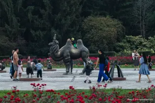 Синоптики предупреждают о резких перепадах температуры в Казахстане