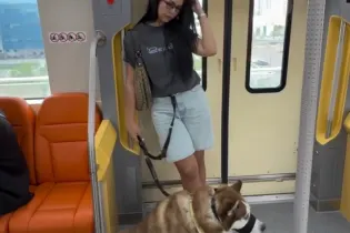 Жительница Астаны сняла реакцию пассажиров LRT на поездку с собакой