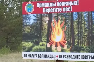 Жителям Карагандинской области запретили ходить в лес