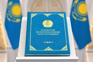 Вице-президент и «экологическая совесть»: эксперты оценили новую Конституцию