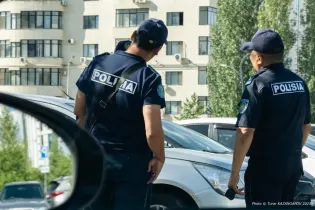 В Алматы дети пытались убить котят — видео