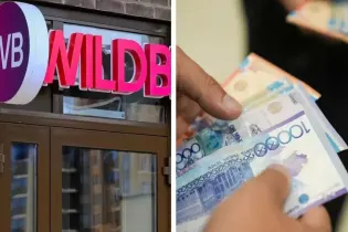 Казахстанские продавцы Wildberries заявили об убытках на 1,5 млрд тенге