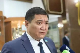 Экс-депутат Бакытжан Базарбек предположительно сбил пешехода в Жамбылской области