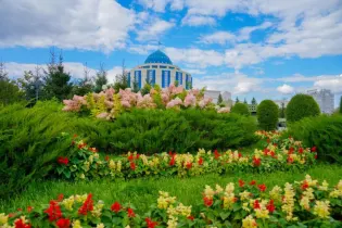 Более миллиона зеленых насаждений высадят в Астане в этом году