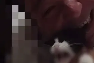 В Казахстане стримеры били котенка во время TikTok-эфира