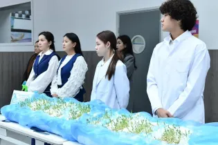 Школьники Актобе высадили деревья в рамках «Таза Қазақстан»