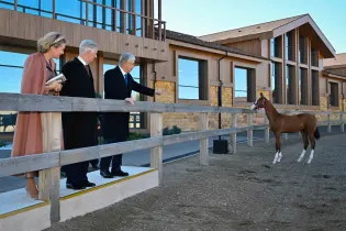 Чем удивили короля Бельгии Филиппа и королеву Матильду в Казахстане