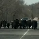 Бегущее наперегонки с машинами стадо яков у Медео шокировало жителей Алматы
