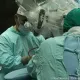 Почти полторы тысячи жителей ВКО готовы стать донорами костного мозга