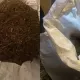 В Кокшетау у мотоциклиста нашли более 5 кг марихуаны