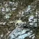 Новый парк в Астане привлек внимание соцсетей из-за кваканья лягушек