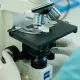 На Тенерифе эвакуируют пассажиров лайнера, где вспыхнул смертоносный хантавирус