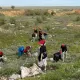 «Таза Қазақстан»: в Актобе прошел масштабный субботник