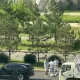В Астане возле ЭКСПО «Газель» сбила женщину