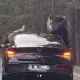 Студента из Астаны наказали после опасной поездки в Боровое