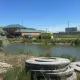Тело пропавшей шестилетней девочки нашли в Сырдарье спустя два дня поисков