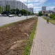 В центре Астаны исчезла целая аллея деревьев