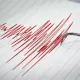 Землетрясение произошло в Алматинской области