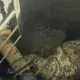 Тело 20-летнего парня нашли в колодце в Кызылординской области – задержан его младший брат