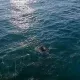 В Атырауской области нашли тело утонувшего рыбака