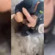 Заплыла за буйки и начала тонуть: девушку спасли на Капчагае