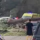 Дерево рухнуло на автомобили в Алматинской области: есть пострадавшие