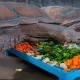 В Шымкентском зоопарке животных спасают от жары ледяным «мороженым»