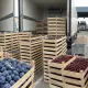 Зараженные сливы и черешню из Кыргызстана не пропустили в Казахстан