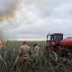 Возгорание камыша в Атырауской области: аким провел срочное совещание