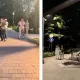 Жители Алматы пожаловались на стихийную торговлю на Терренкуре