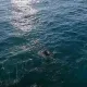 Крушение катера у берегов Вьетнама унесло жизни 15 туристов