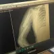 «Седло съехало на полном скаку»: конный клуб под Астаной вновь оказался в центре скандала