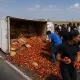 Фура с нектаринами перевернулась в ЗКО: бесплатная раздача закончилась потасовками