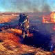 Спасших от огня Бестобе пожарных накормили сосисками и кусочком хлеба: что ответил акимат