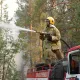 В «Семей орманы» ликвидировали открытое горение леса