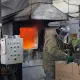 В Казахстане сожгли партию декоративных растений из России: что стало причиной
