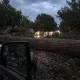 Огромное дерево рухнуло на автомобиль на трассе в области Жетысу