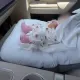 Казахстанцы требуют наказать Рината Шамшырака после видео с новорожденным ребенком