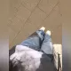 Жительницу Алматы ударило струёй воды по лицу из системы полива на набережной