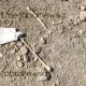 На стройке в Семее нашли человеческие останки