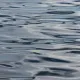 Шестерых человек, включая двоих детей, спасли на озере Балхаш