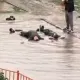 В Астане двое мужчин получили арест после купания в луже