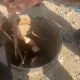 Потеряли сознание: двух рабочих спасли из канализационного люка в ВКО