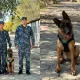 Служебная собака нашла пропавшего пенсионера в двух километрах от дома