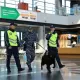 Почти 600 иностранцев выдворили из Казахстана за нарушения миграционного законодательства